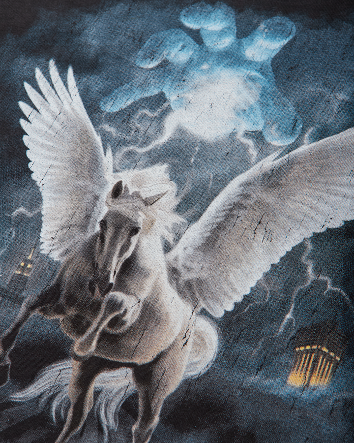Mental Athletic Wild Horse Tee featured media