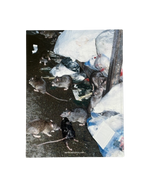 Mental Athletic Tokyo Special Issue/ Cover 1 Cityscape