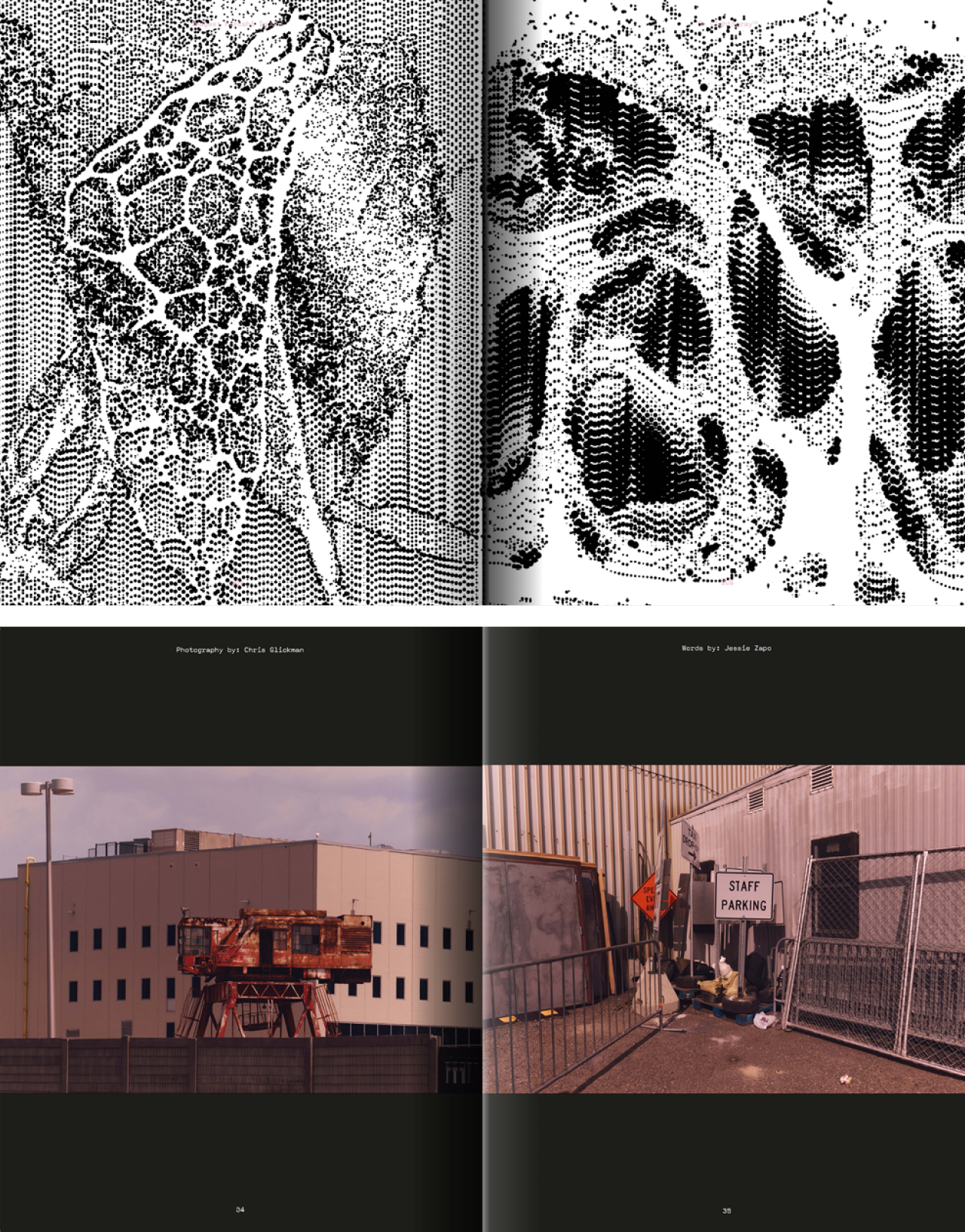 Portraits from Mental Athletic Issue 4 featuring the Oakland collective A.F.A.I.C., photographed by Peter Sutherland.