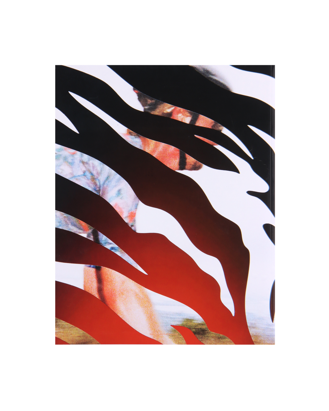 Mental Athletic Issue N4/ Cover  2 Kask