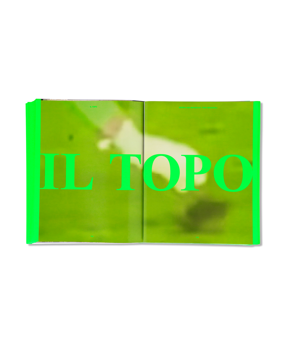 MAFC Issue N1/ Cover 1 Secret